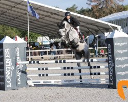 stallion Futurore Di Villagana (Sella Italiano, 2013, from Heartbreaker)