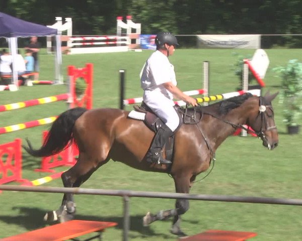 Reitturnier Leingarten 2017