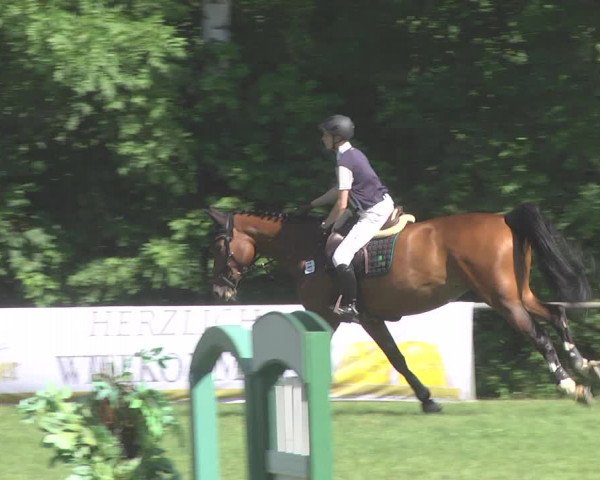Reitturnier Leingarten 2017