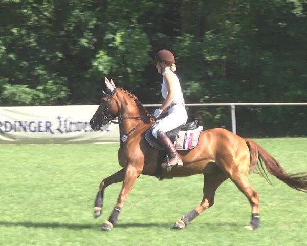 Reitturnier Leingarten 2017