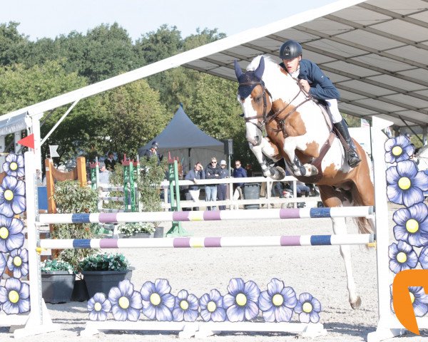 jumper Best Choice vd Wareslage Z (Zangersheide riding horse, 2012, from Best Man Z)