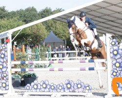 jumper Best Choice vd Wareslage Z (Zangersheide riding horse, 2012, from Best Man Z)