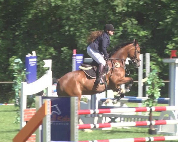 Reitturnier Leingarten 2017