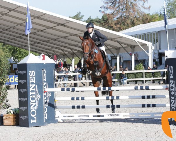 stallion Carlos 777 (Holsteiner, 2013, from Casall Ask)