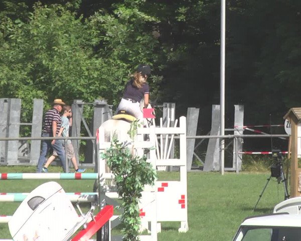 Reitturnier Leingarten 2017