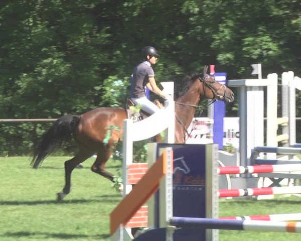 Reitturnier Leingarten 2017