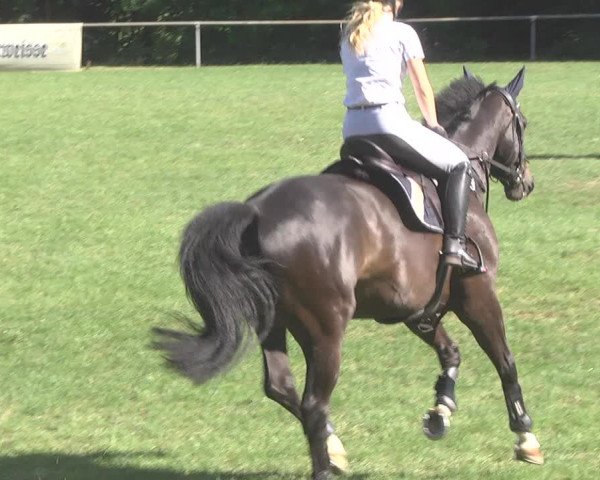 Reitturnier Leingarten 2017