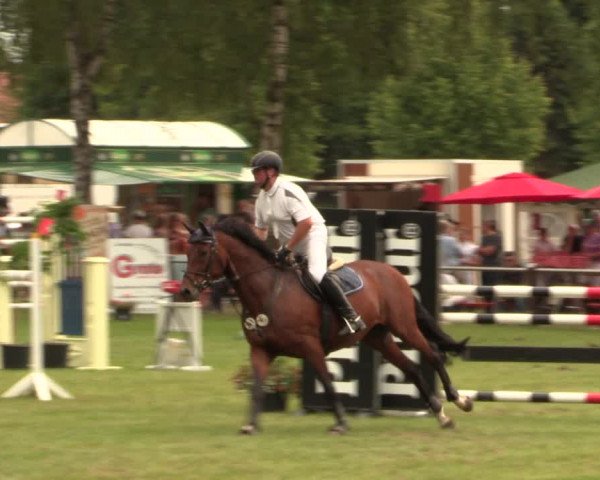 Reitturnier Hille 2017
