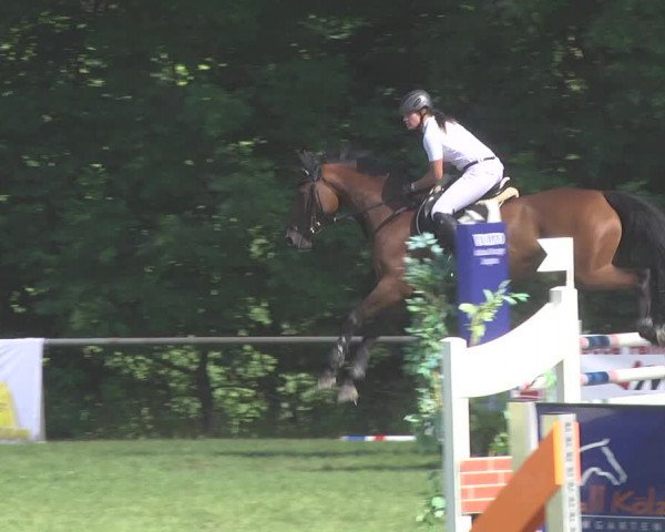 Reitturnier Leingarten 2017