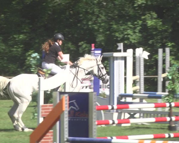 Reitturnier Leingarten 2017