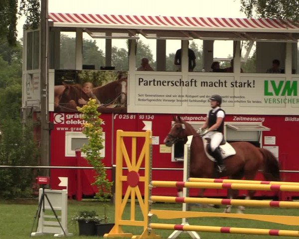 Reitturnier Hille 2017
