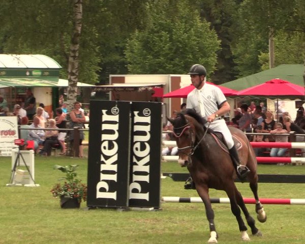 Reitturnier Hille 2017