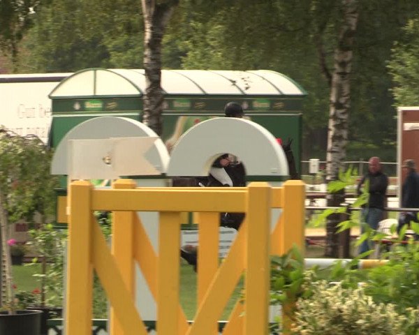 Reitturnier Hille 2017