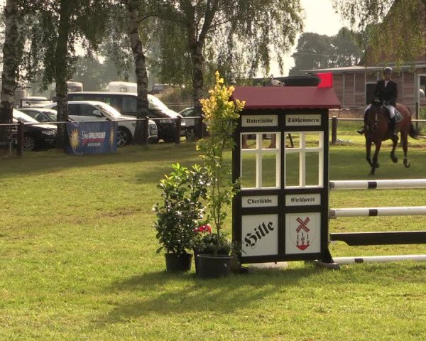 Reitturnier Hille 2017
