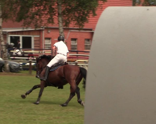 Reitturnier Hille 2017