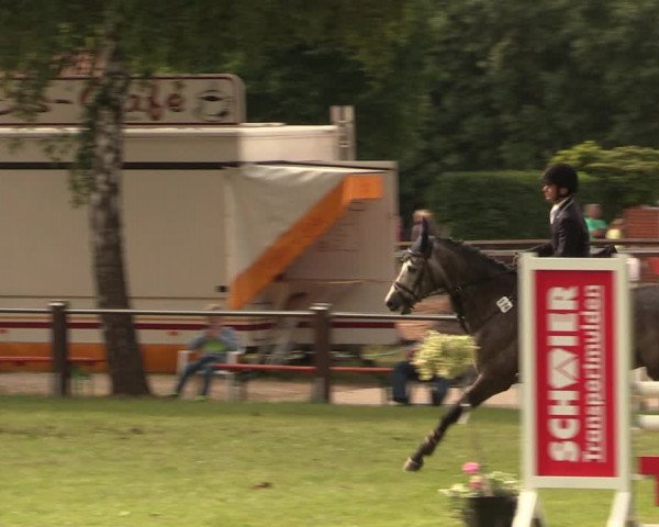 Reitturnier Hille 2017