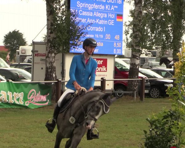 Reitturnier Hille 2017