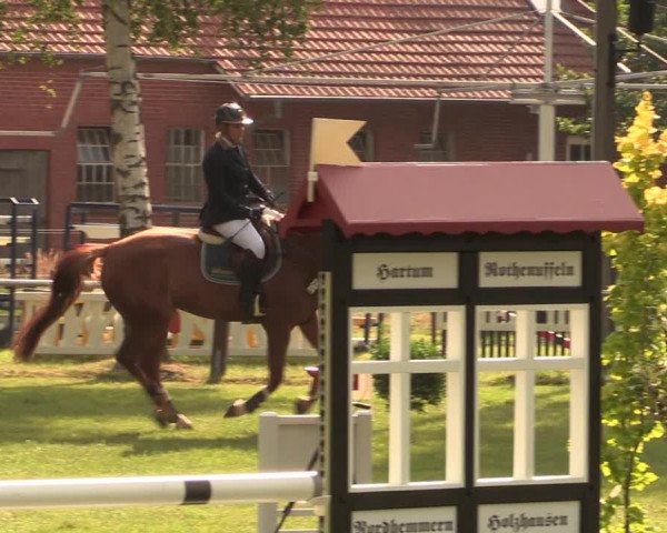 Reitturnier Hille 2017