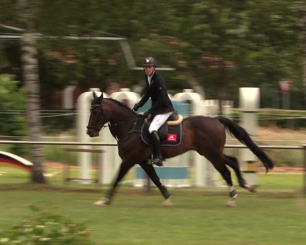 Reitturnier Hille 2017