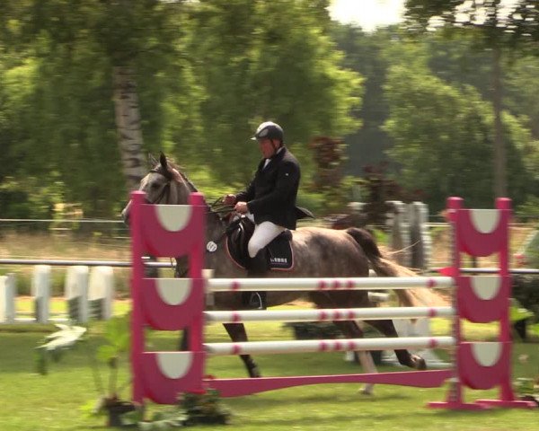 Reitturnier Hille 2017