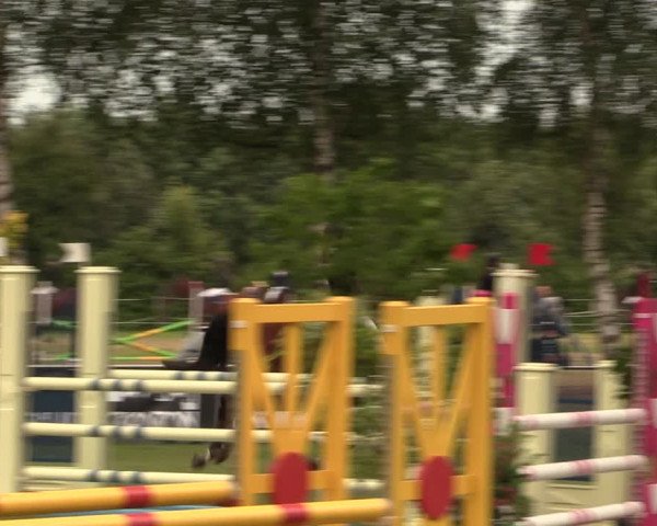 Reitturnier Hille 2017