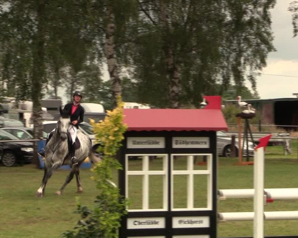 Reitturnier Hille 2017