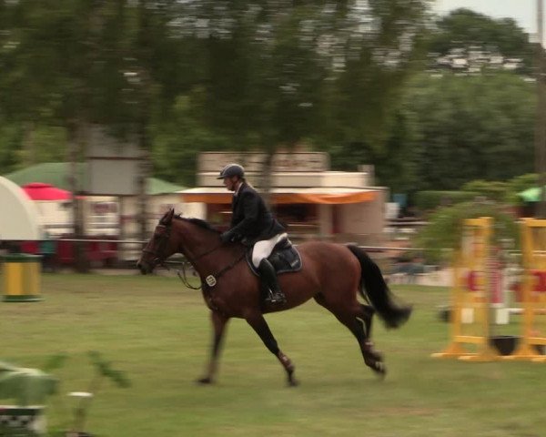 Reitturnier Hille 2017