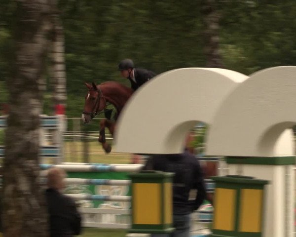Reitturnier Hille 2017
