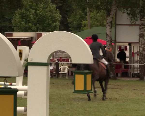 Reitturnier Hille 2017