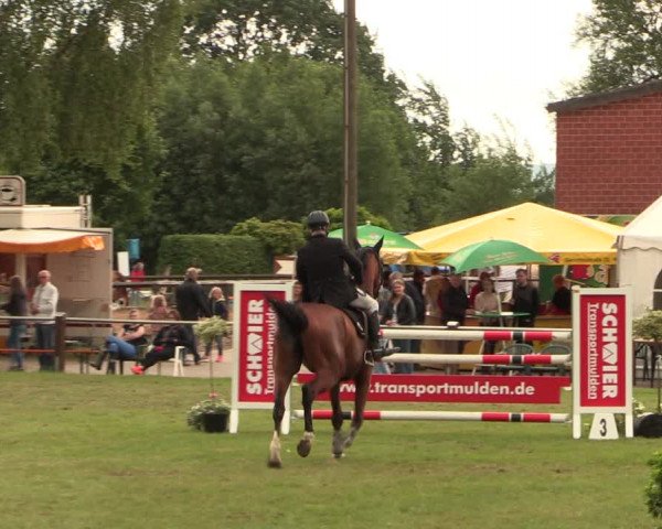 Reitturnier Hille 2017