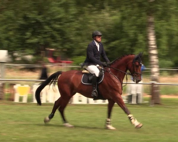 Reitturnier Hille 2017