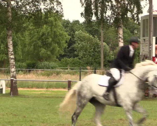 Reitturnier Hille 2017