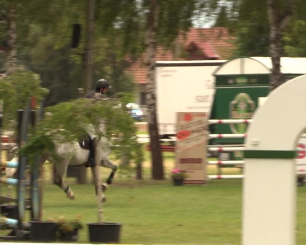 Reitturnier Hille 2017