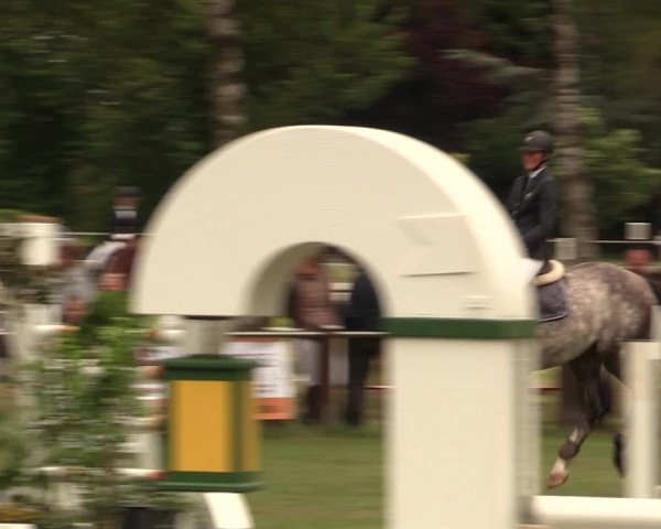 Reitturnier Hille 2017