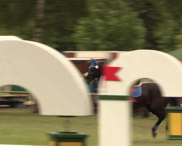 Reitturnier Hille 2017