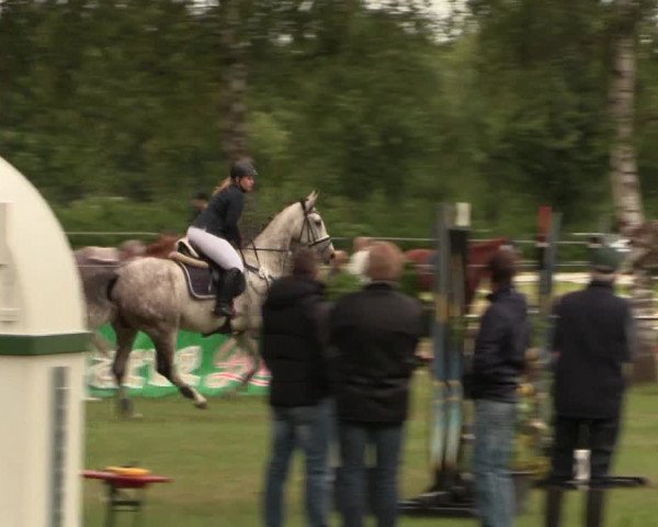Reitturnier Hille 2017