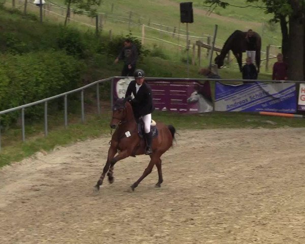 Reitturnier Kierspe-Hohenholten 2017