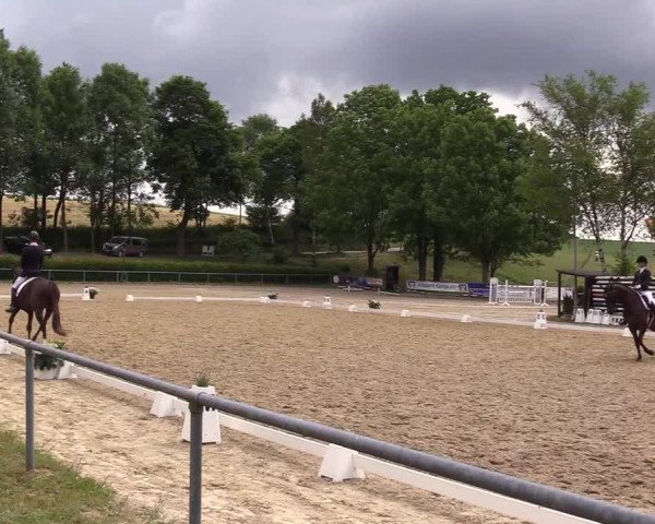 Reitturnier Kierspe-Hohenholten 2017