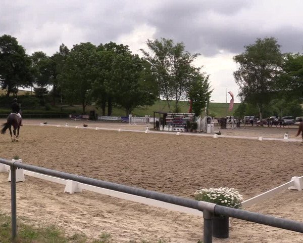 Reitturnier Kierspe-Hohenholten 2017