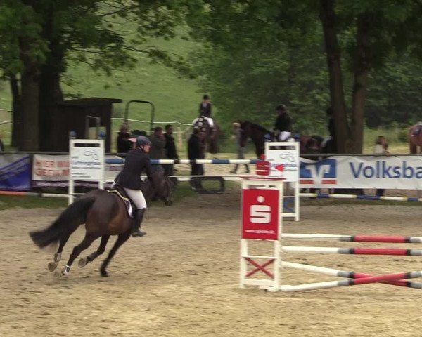 Reitturnier Kierspe-Hohenholten 2017