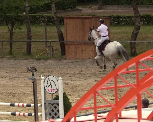 Reitturnier Kierspe-Hohenholten 2017