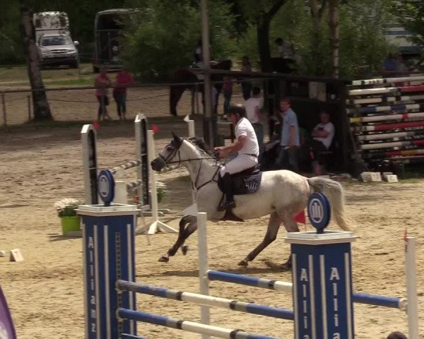 Reitturnier Kierspe-Hohenholten 2017