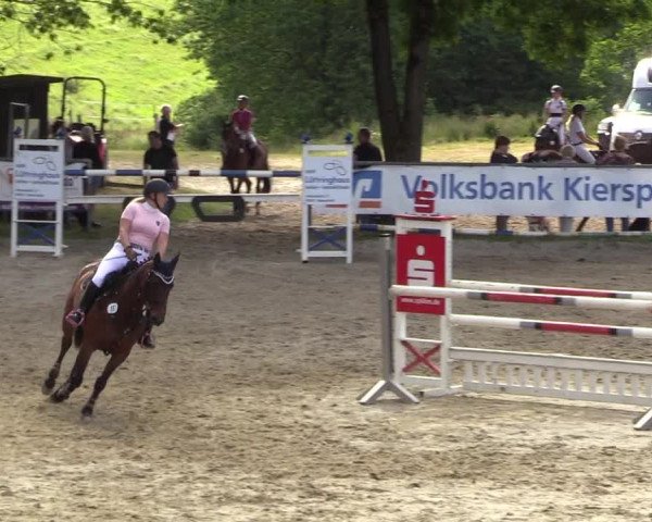 Reitturnier Kierspe-Hohenholten 2017