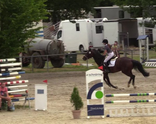 Reitturnier Kierspe-Hohenholten 2017