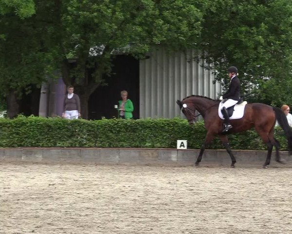 Reitturnier Kierspe-Hohenholten 2017