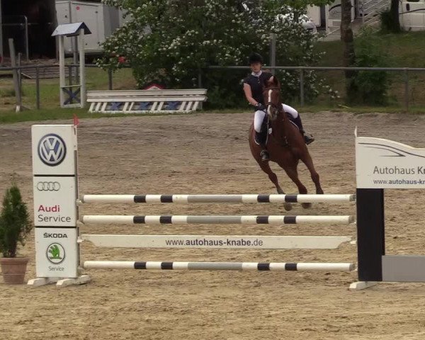 Reitturnier Kierspe-Hohenholten 2017