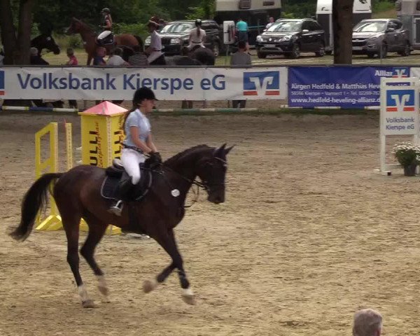 Reitturnier Kierspe-Hohenholten 2017