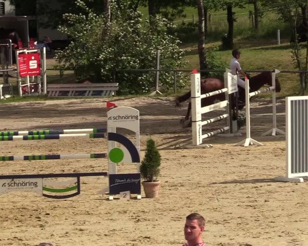 Reitturnier Kierspe-Hohenholten 2017