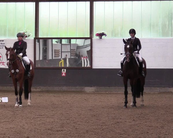 Reitturnier Kierspe-Hohenholten 2017