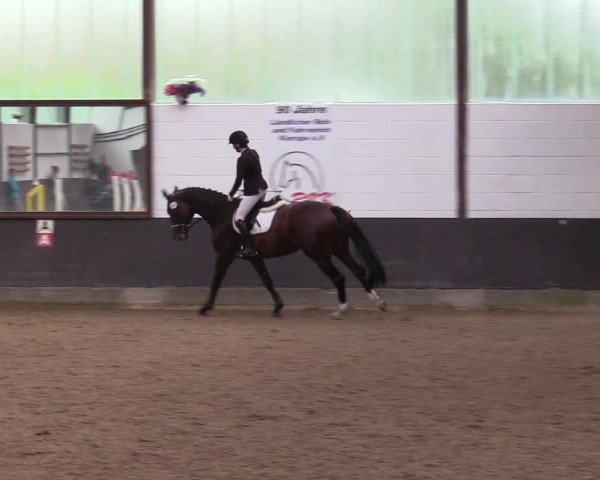 Reitturnier Kierspe-Hohenholten 2017
